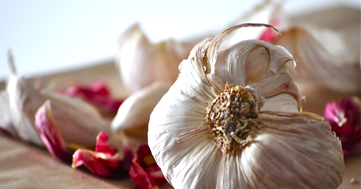 Corners and Moments Garlic medicine and spice