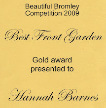 Gold Award