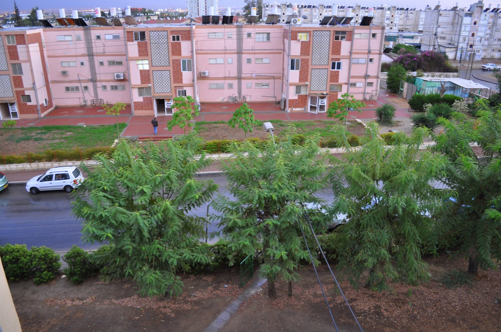 [DSC_0321.JPG]