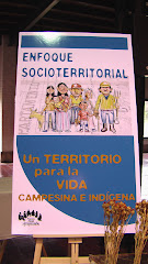 El enfoque socioterritorial