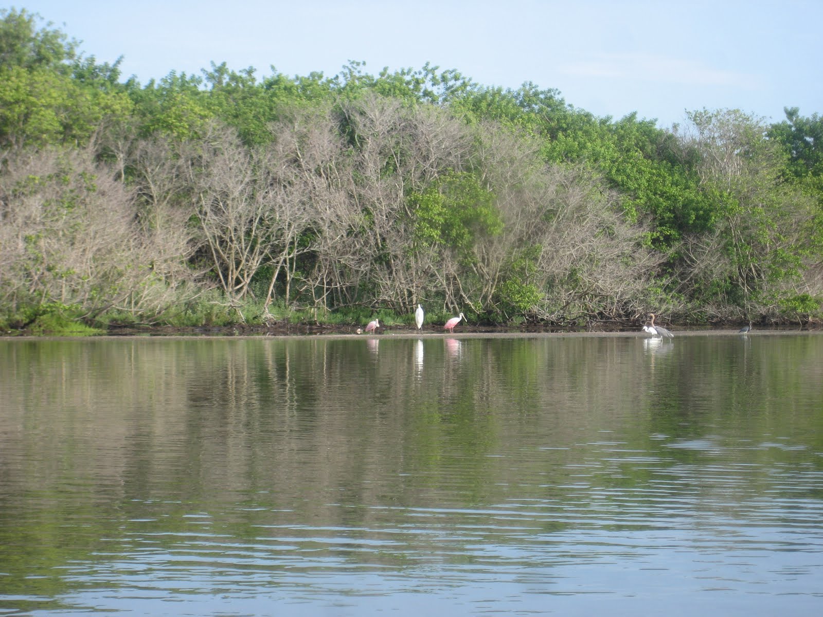 Dave's Yak Tales Banana River