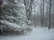 Easter Saturday in Ohio- we will still sing Hallelujah!