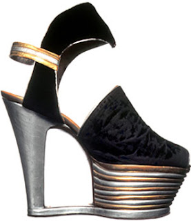 history of shoes book