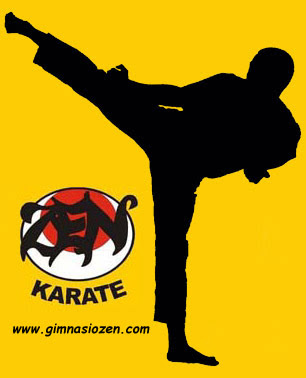 ¡El mejor Dojo de Karate!