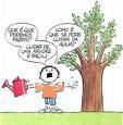[imagem+2.jpeg]