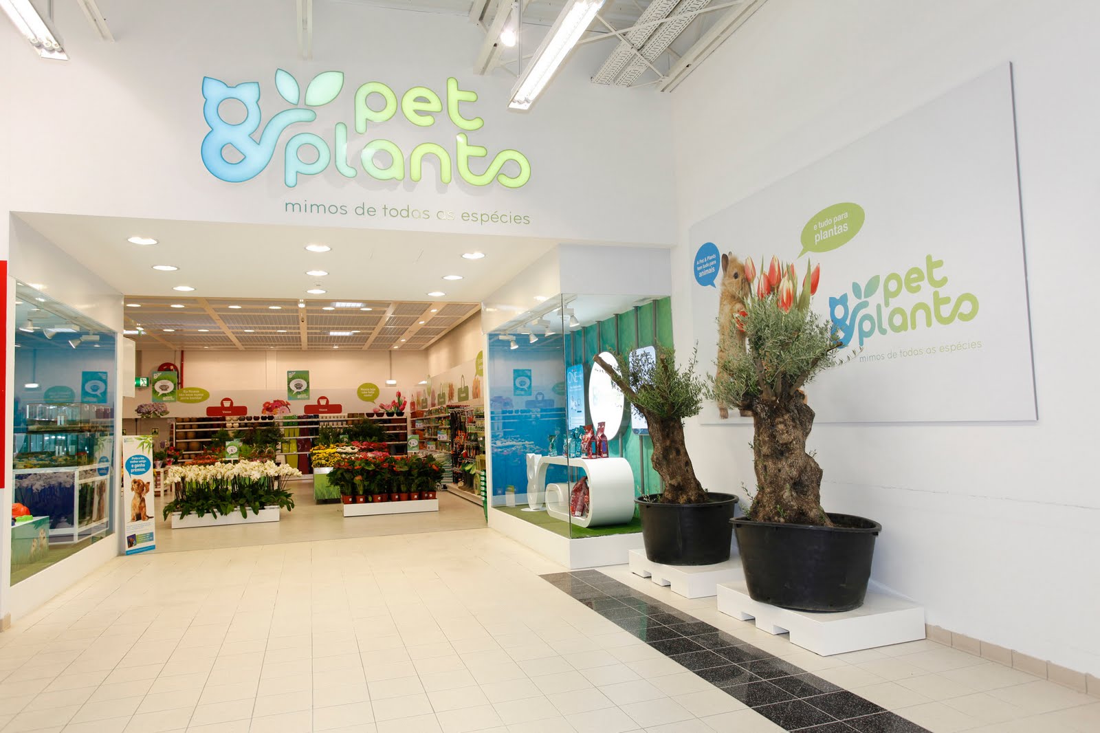 Em Directo Empresa Santa Fé cria novas lojas Pet & Plants