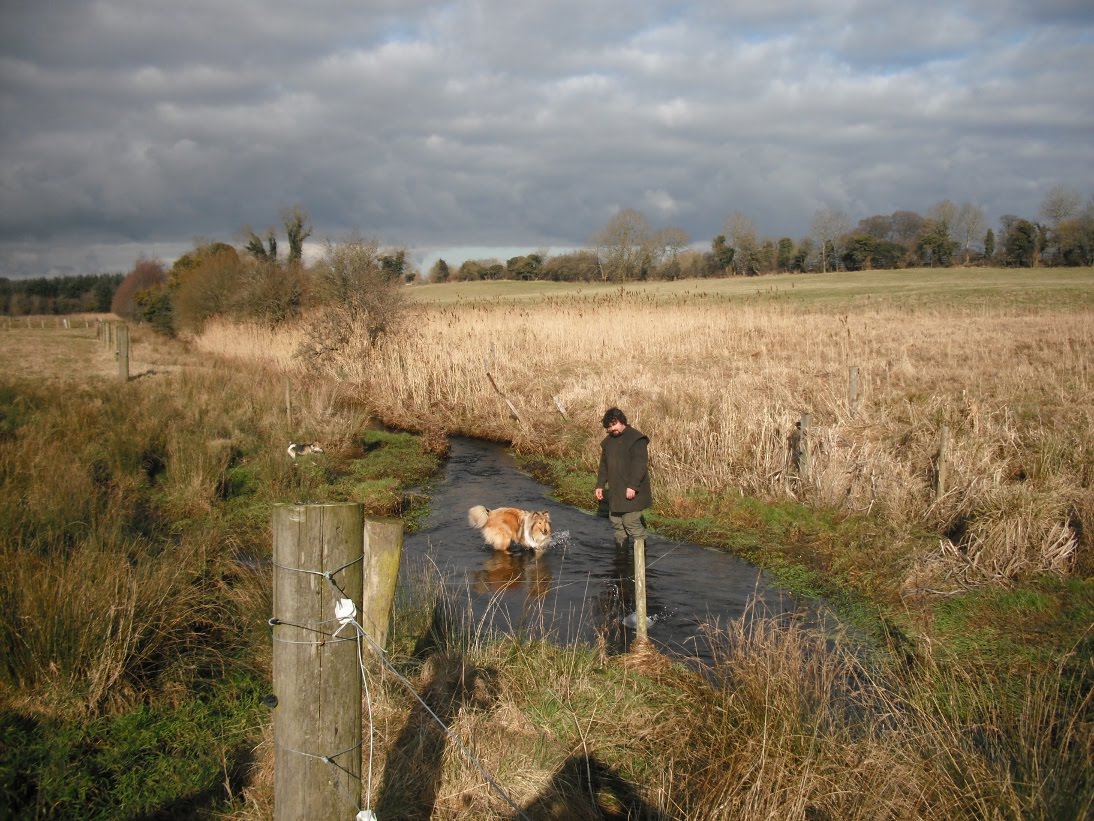Mein Leben In Irland 9 Wolfgang Graef Selbstversorger Irland