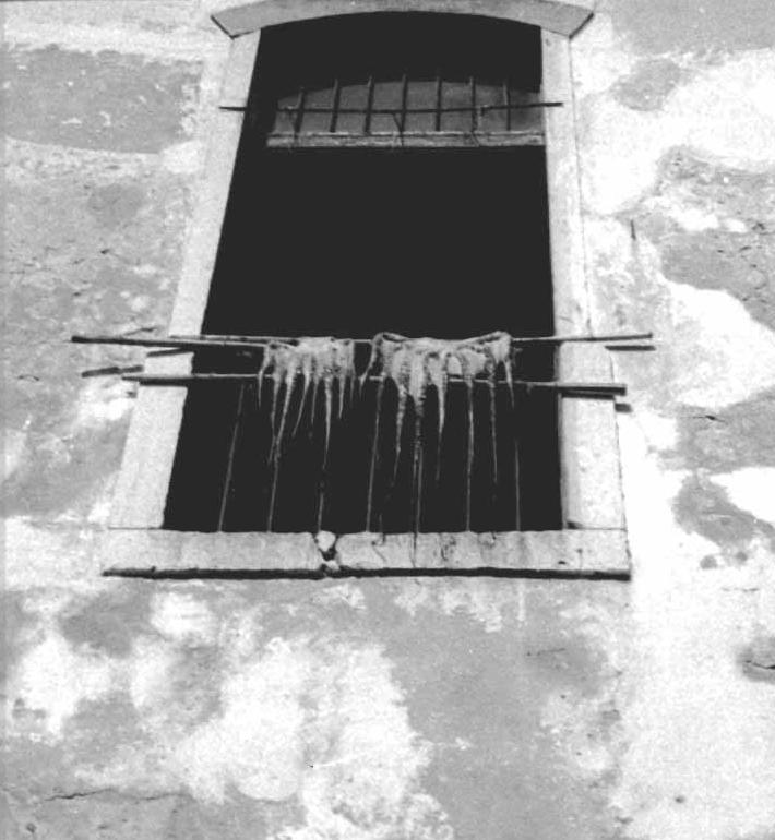 [Digitalizar0026_a_.JPG]