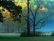 bosque otoñal