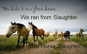 stop horse slaughter, end the pain!!