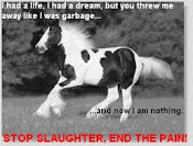 STOP HORSE SLAUGHTER!!