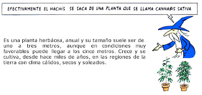 Breath of Life DVD Import中古 正式的