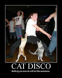 Cat Disco