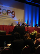 Reunión Plenaria COP 9