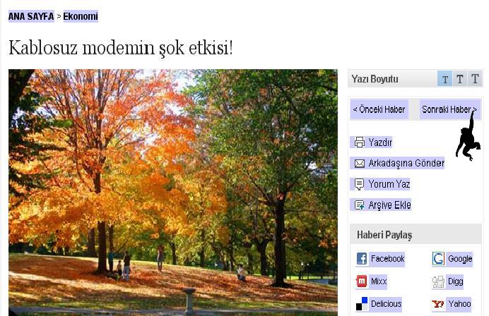 pets bigs flashcards