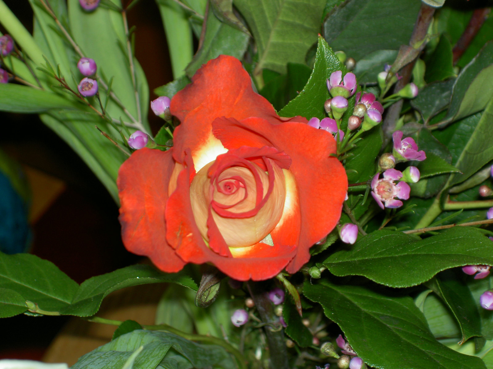 [PICT0178-500.jpg]