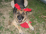 Merry Christmas!