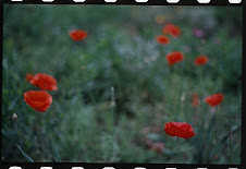 peaceful change