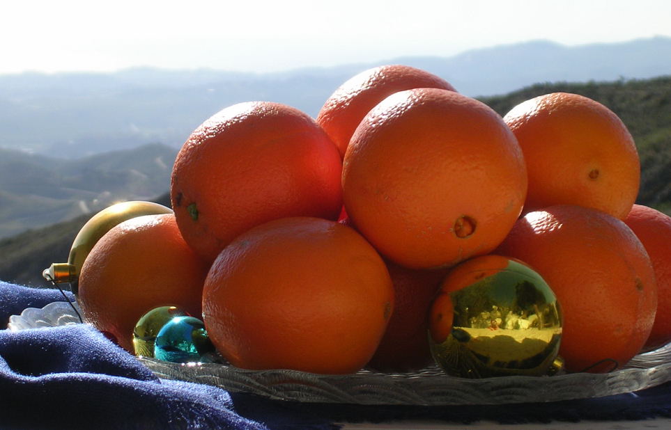 [image0001.jpg]