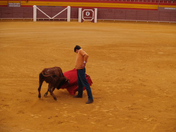 [Convivenc..[1]+(2).JPG]