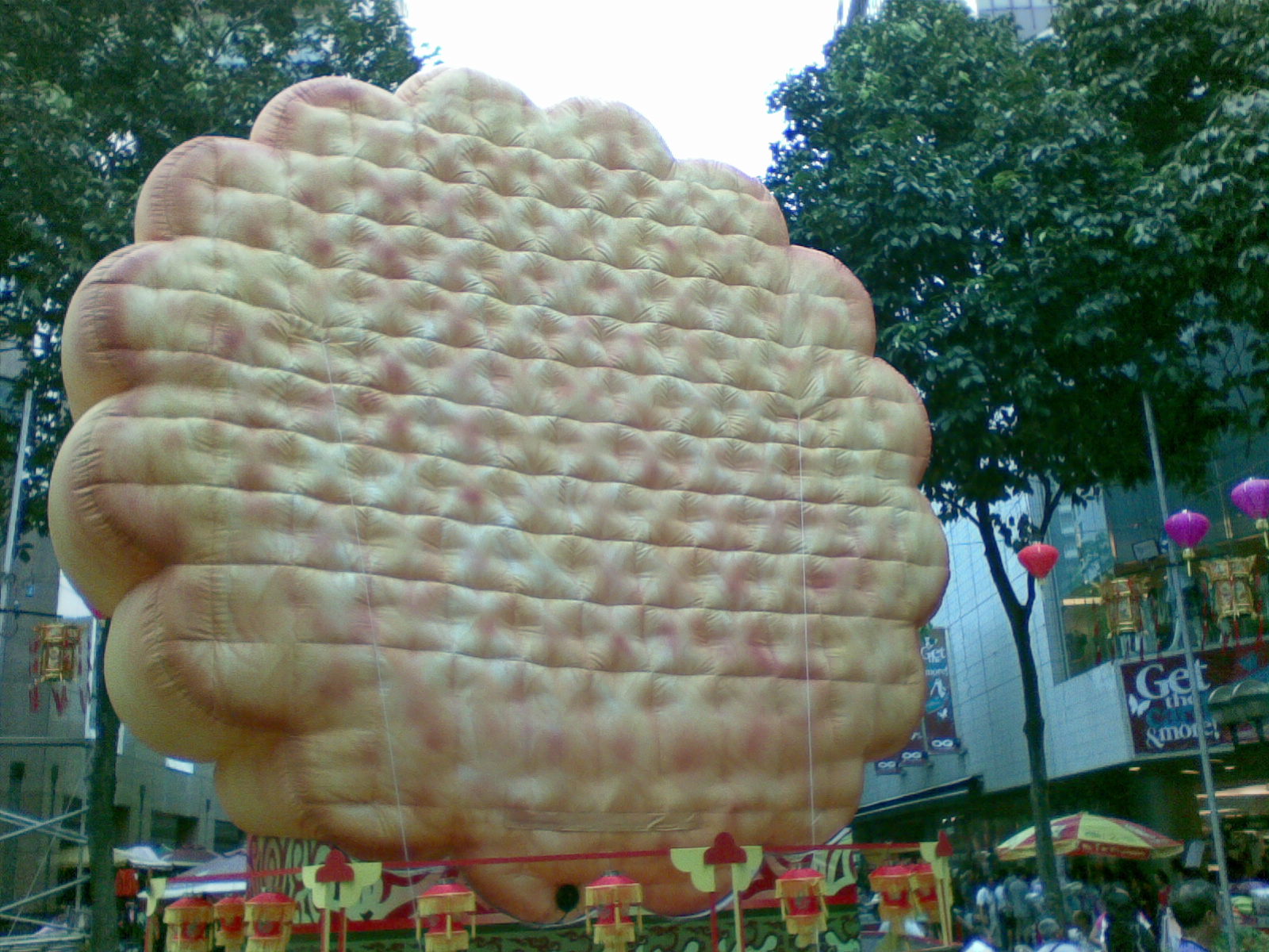 [Image086.jpg]