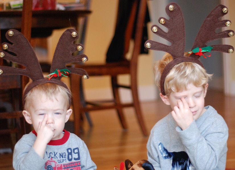 [DSC_0008-1.JPG]