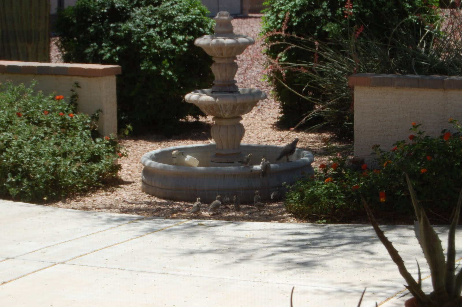 My Artistic Side June 2010