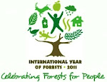 International Year Of Forests 2011