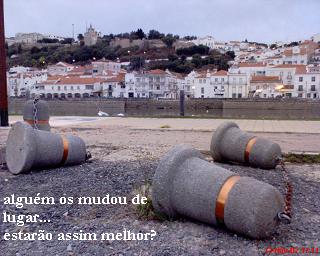 [DSC01135_a.JPG]
