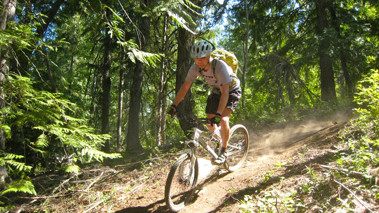 Singletrack Summer Rossland BC
