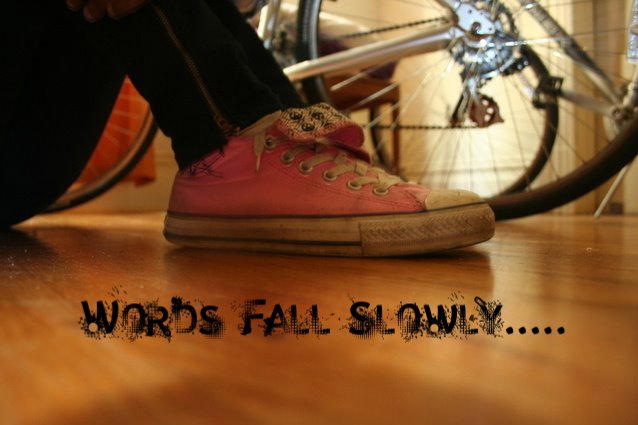Words Fall Slowly ...