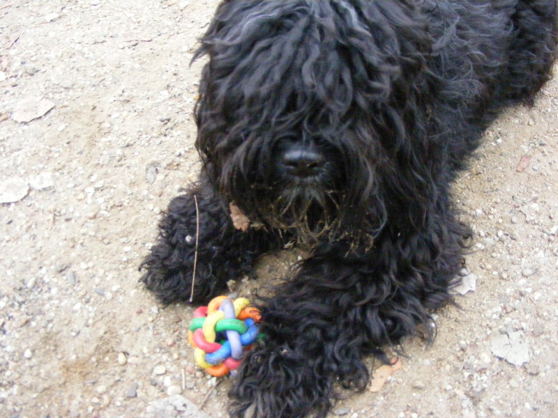 [weihnachtsball4.jpg]