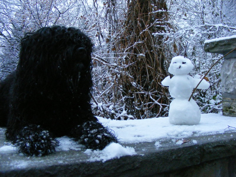 [schneemann3.jpg]