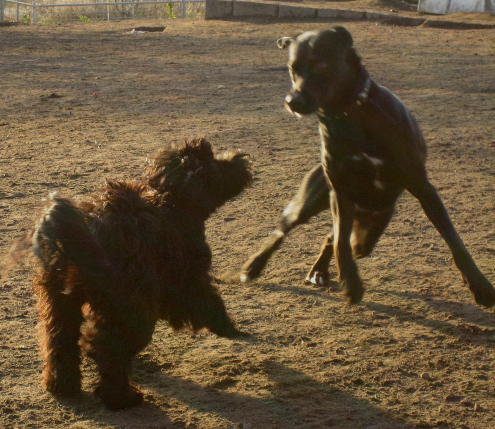 [Mauerpark2512_6.jpg]