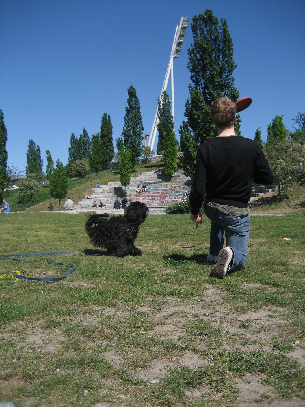 [disc+training+so29_8.jpg]