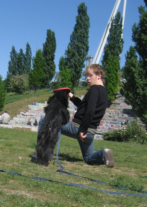 [disc+training+so29_11.jpg]