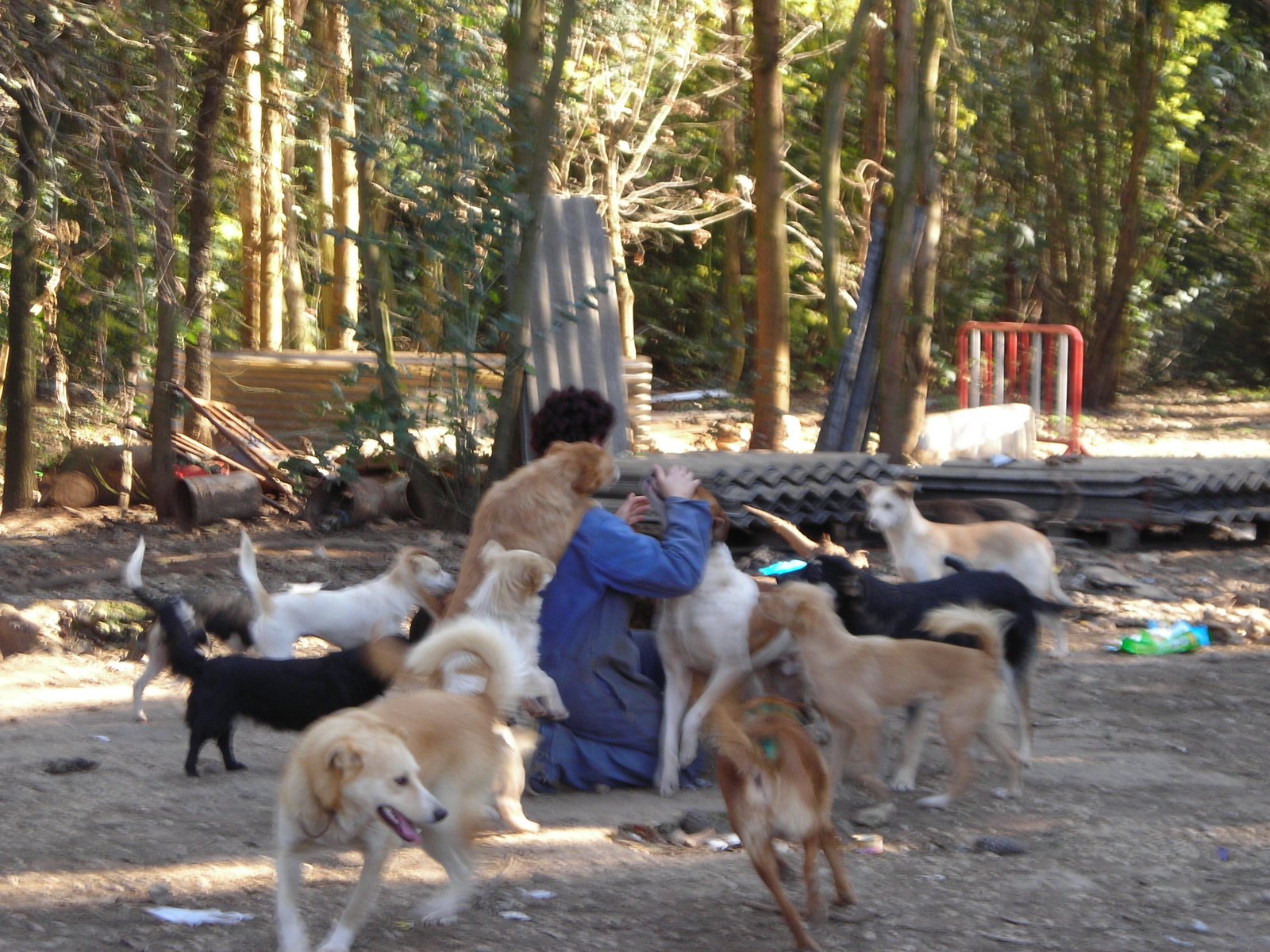 [DSCN2106.JPG]