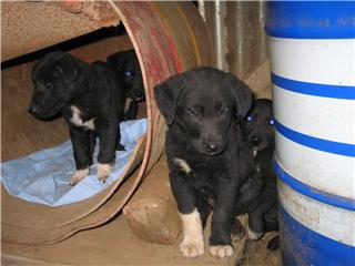 [GetAttachmentCAIAIUYP.jpg]