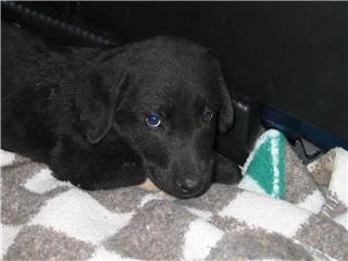 [GetAttachmentCAQXBUIJ.jpg]