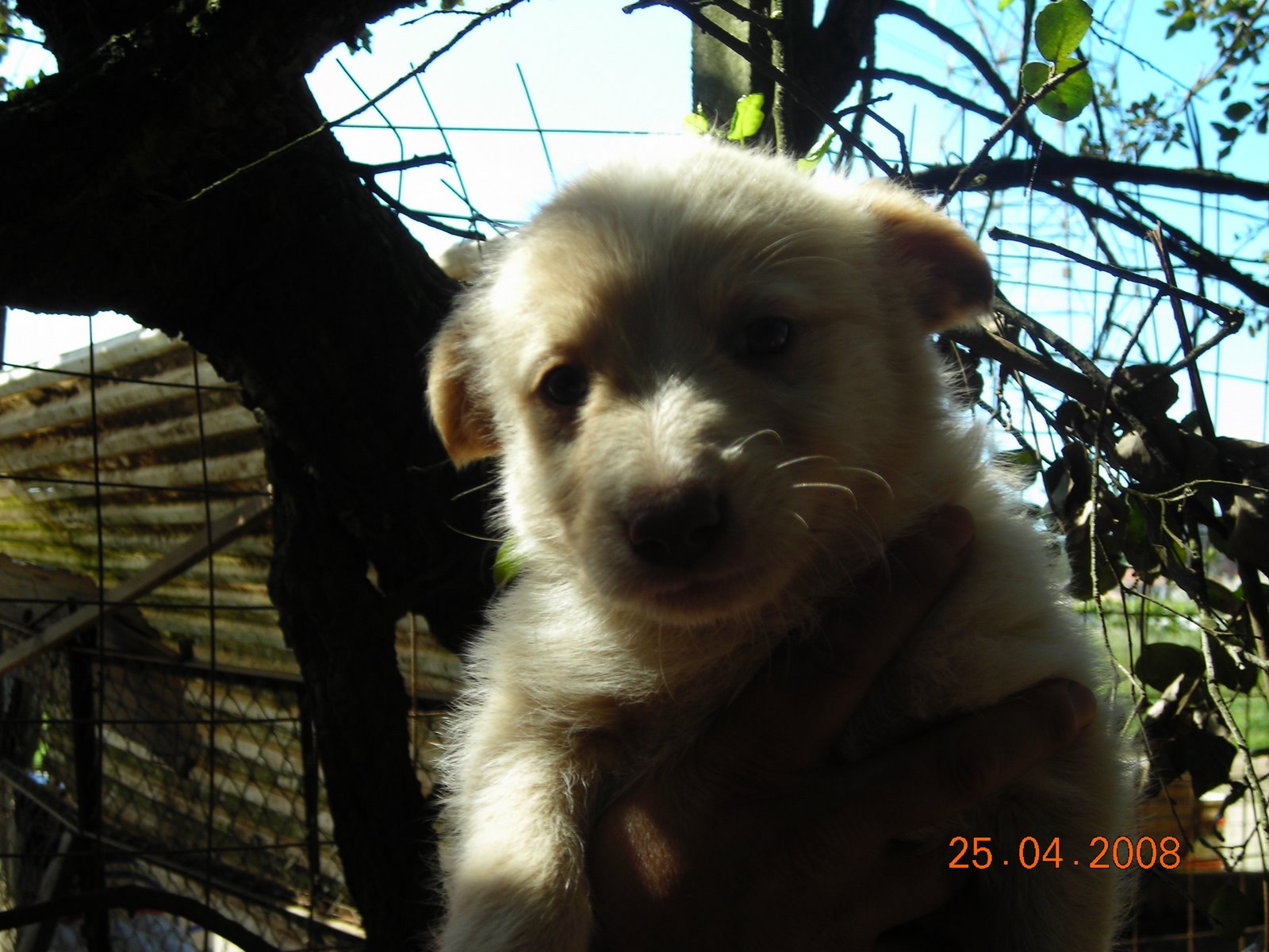 [DSCN3455.JPG]