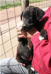 [GetAttachment2.jpg]