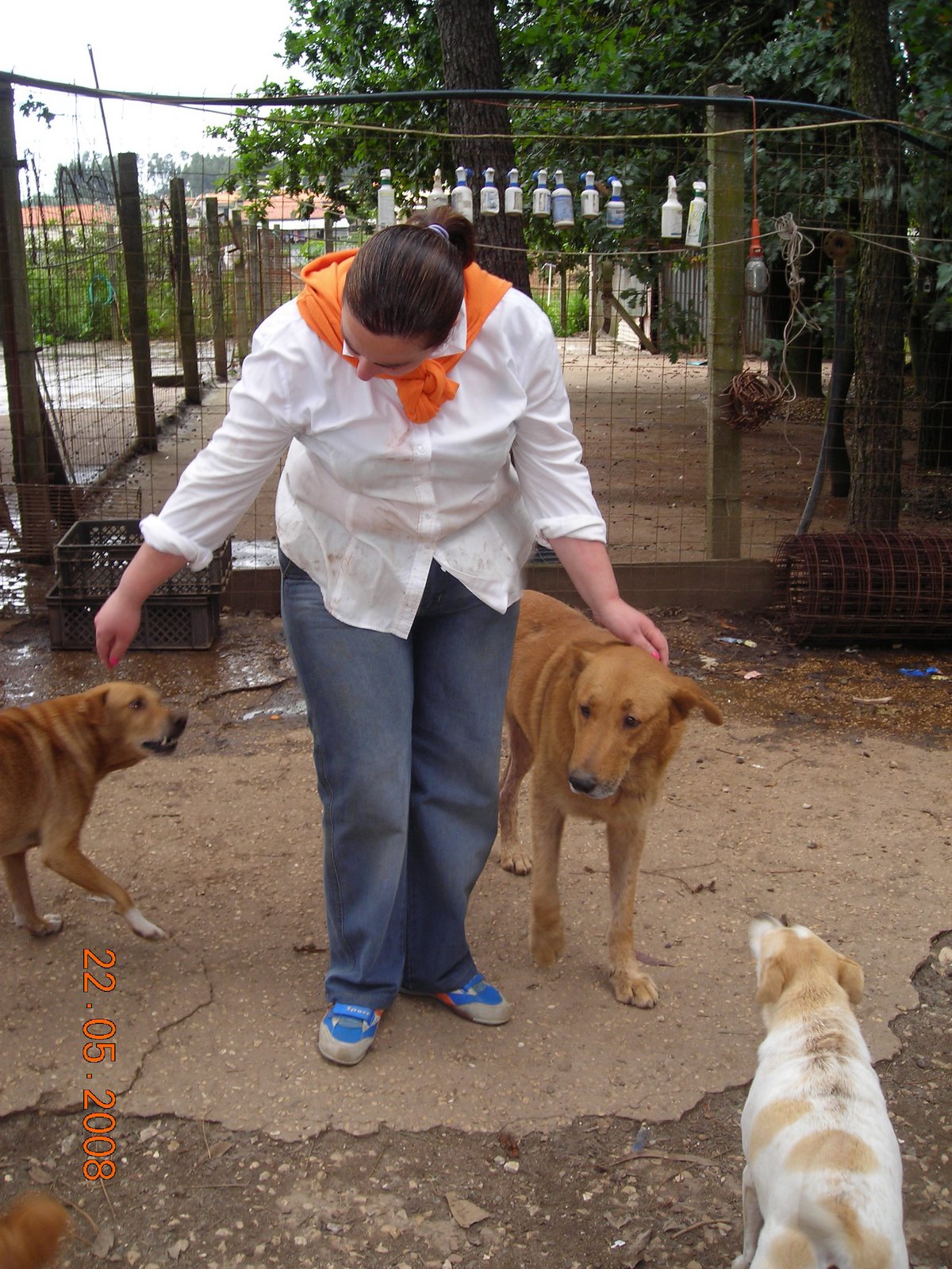 [DSCN4224.JPG]