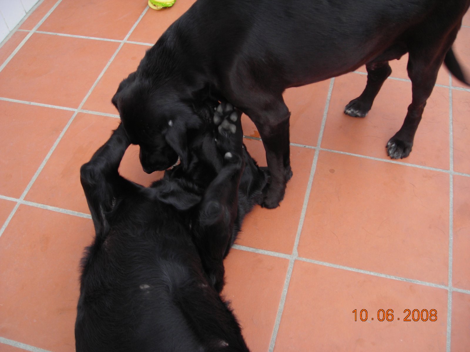 [DSCN5121.JPG]