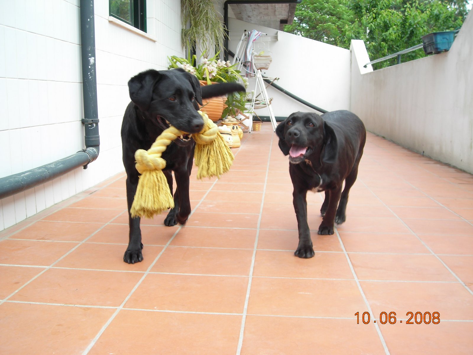 [DSCN4895.JPG]