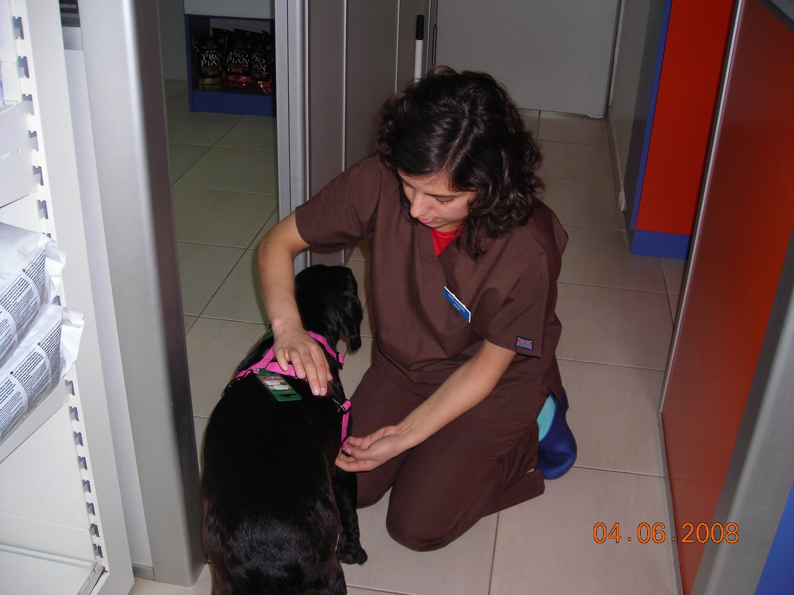 [DSCN4378.JPG]