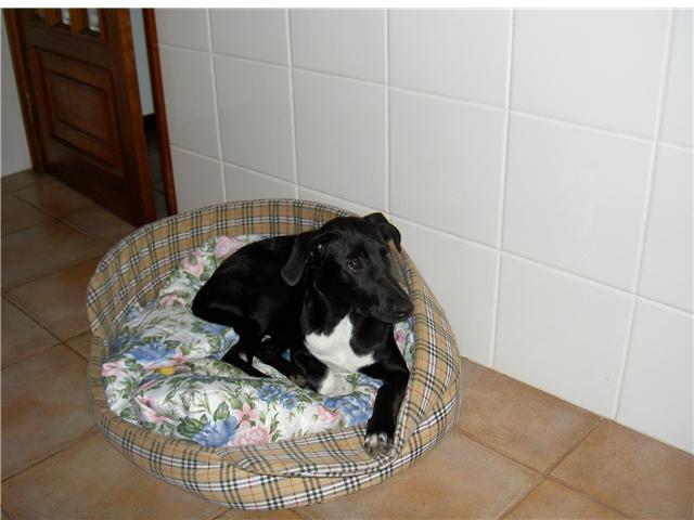 [GetAttachmentCA5YK860.jpg]