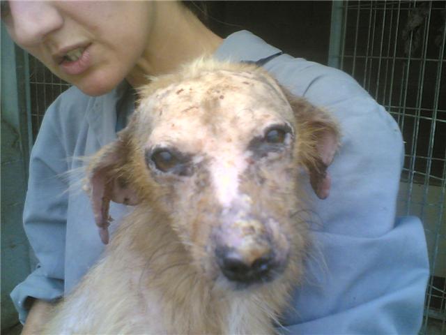 [GetAttachment1.jpg]