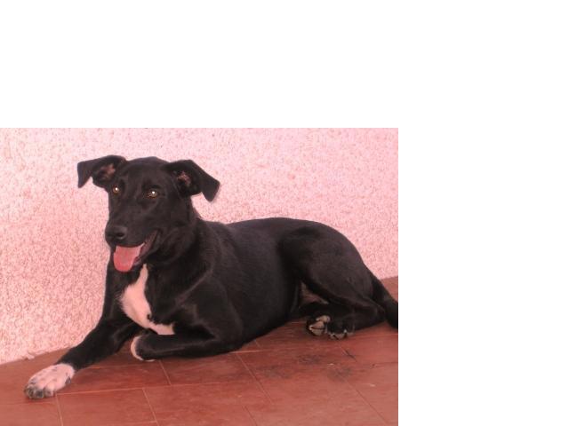 [GetAttachment4.jpg]