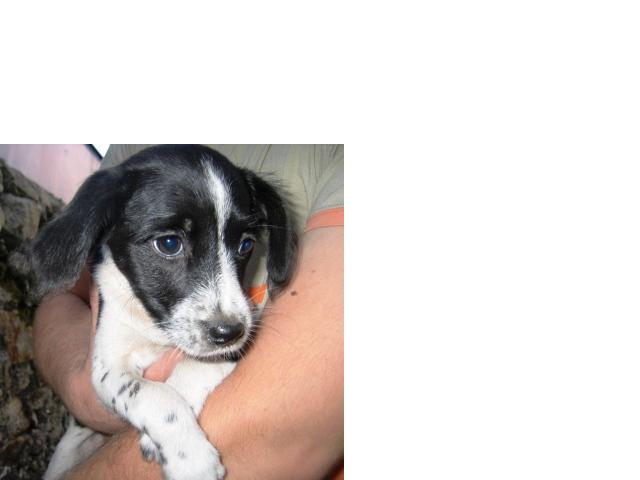 [GetAttachment3.jpg]