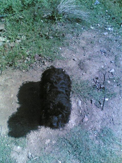 [GetAttachmentCAM8JUY9.jpg]